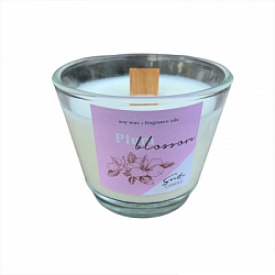 Соевая свеча "Plum blossom"(Сливовое цветение), Svetlo candle, 100 мл